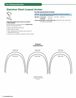 SS Loops